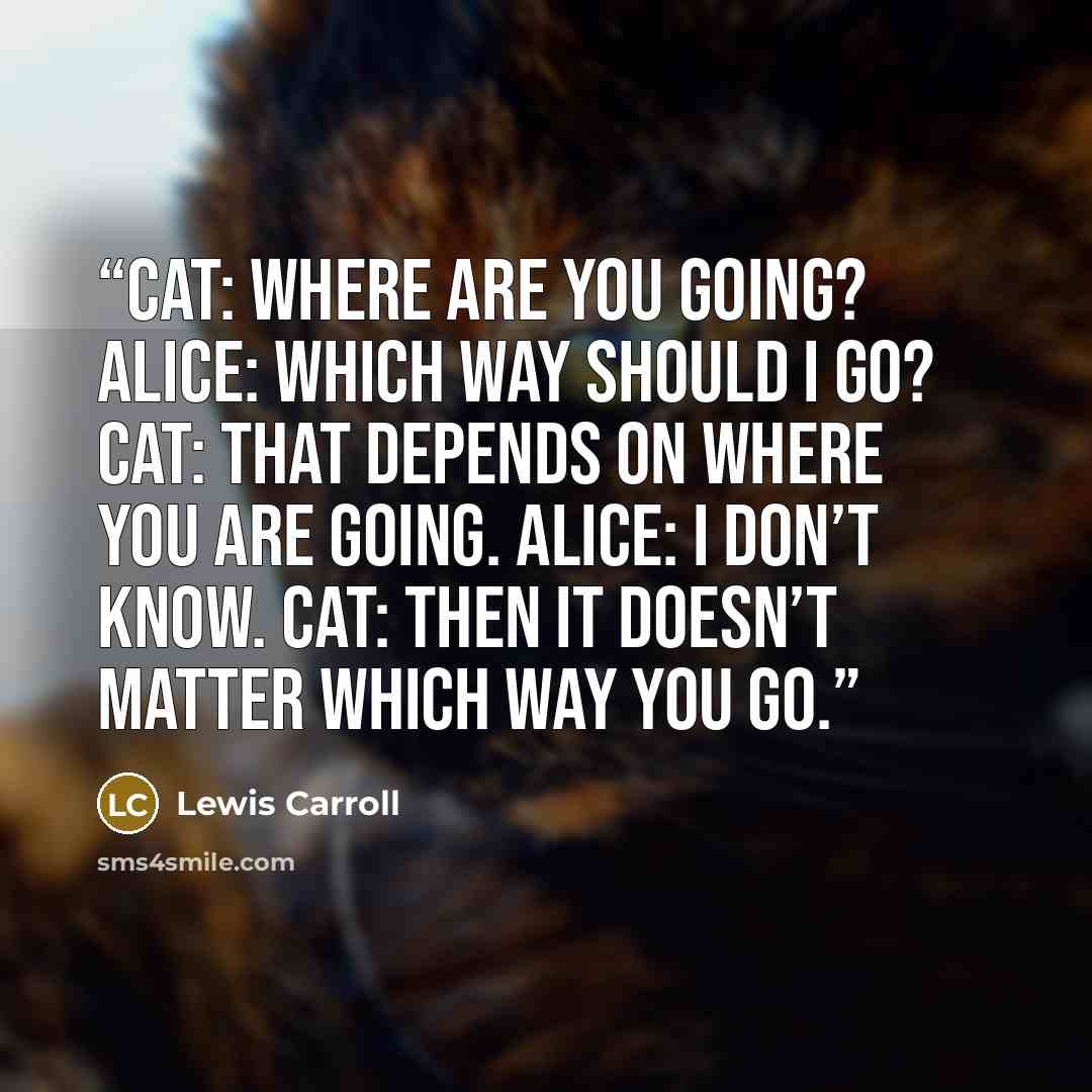 “Cat: Where are you going? Alice: Which way should I go? Cat: That depends on where you are going. Alice: I don’t know. Cat: Then it doesn’t matter which way you go.” quote by Lewis Carroll