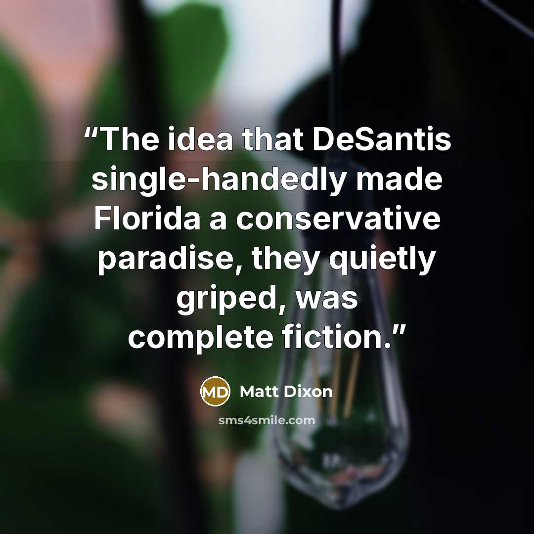 “The idea that DeSantis single-handedly made Florida a conservative paradise, they quietly griped, was complete fiction.” quote by Matt Dixon