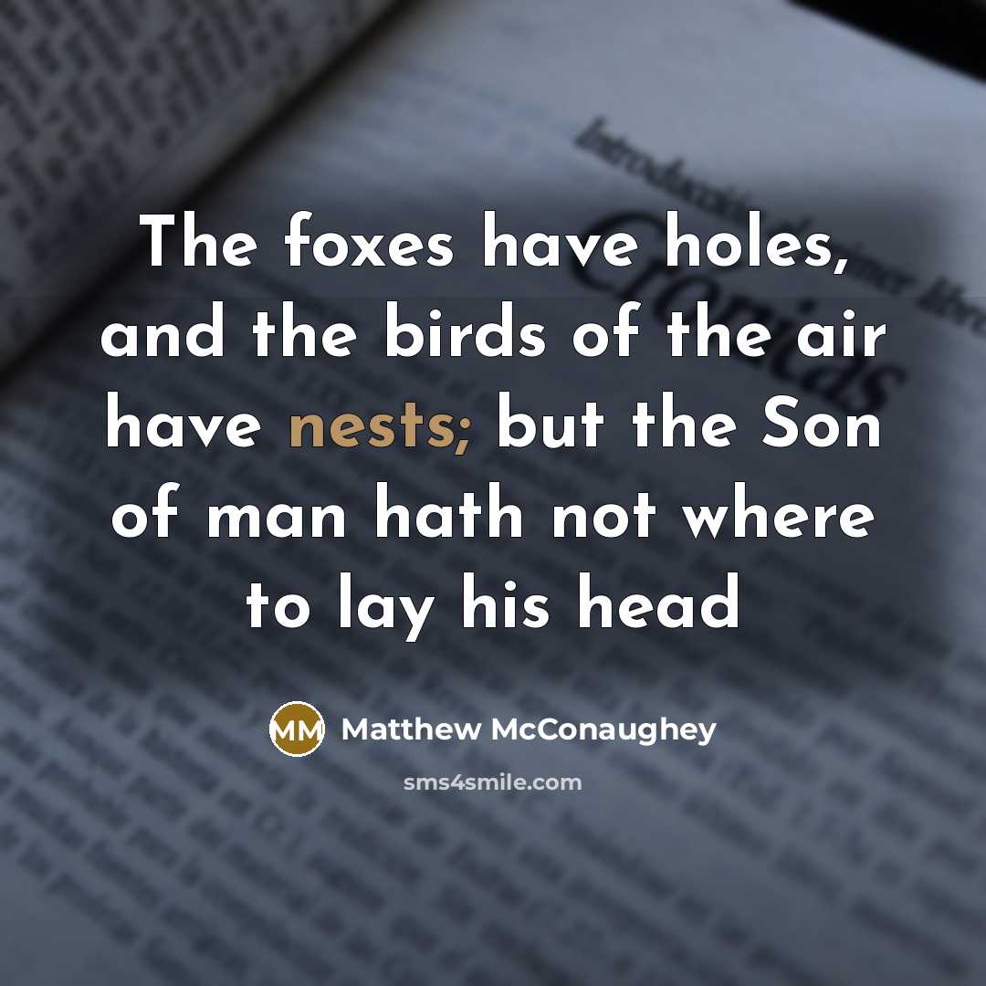 “The foxes have holes, and the birds of the air…” quote by Matthew McConaughey