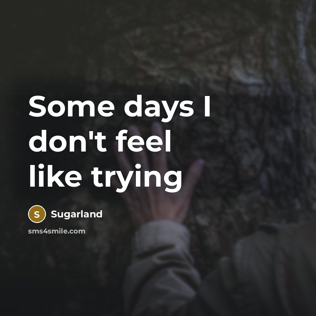 “Some days I don't feel like trying” quote by Sugarland