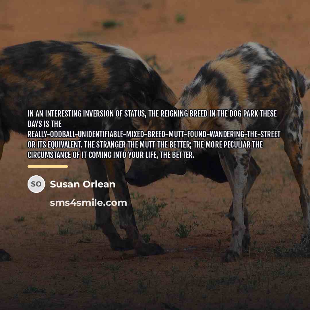 “In an interesting inversion of status, the reigning breed in…” quote by Susan Orlean