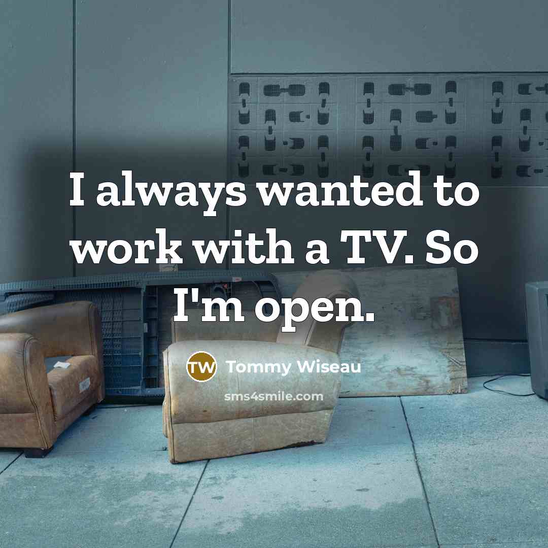 “I always wanted to work with a TV. So I'm open.” quote by Tommy Wiseau