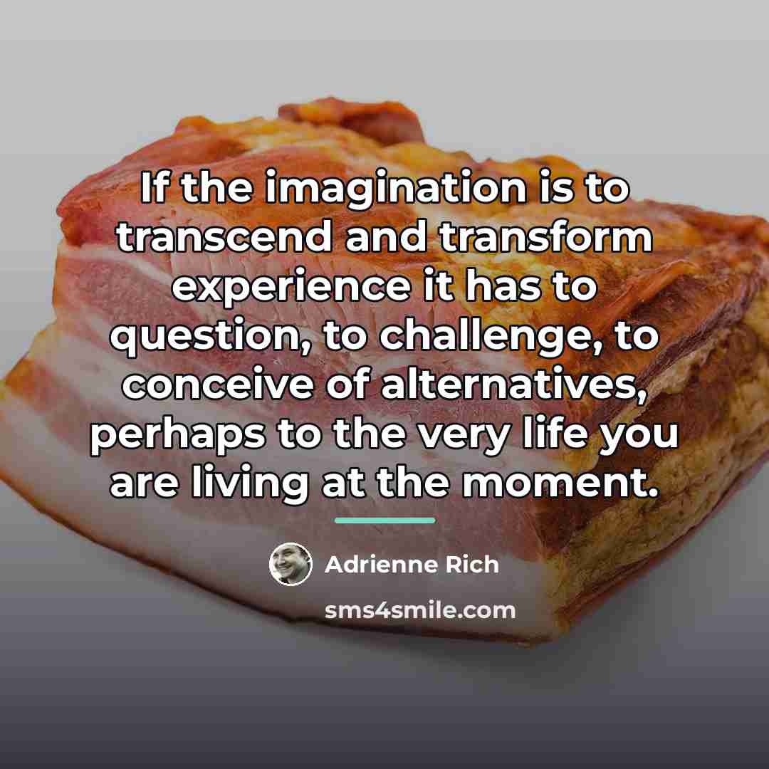 “If the imagination is to transcend and transform experience it…” quote by Adrienne Rich