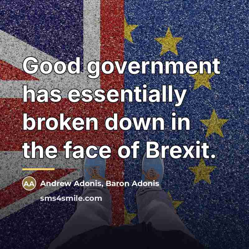 “Good government has essentially broken down in the face of…” quote by Andrew Adonis, Baron Adonis