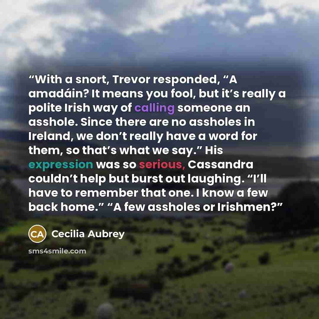 “With a snort, Trevor responded, “A amadáin? It means you fool, but it’s really a polite Irish way of calling someone an asshole. Since there are no assholes in Ireland, we don’t really have a word for them, so that’s what we say.” His expression was so serious, Cassandra couldn’t help but burst…” quote by Cecilia Aubrey