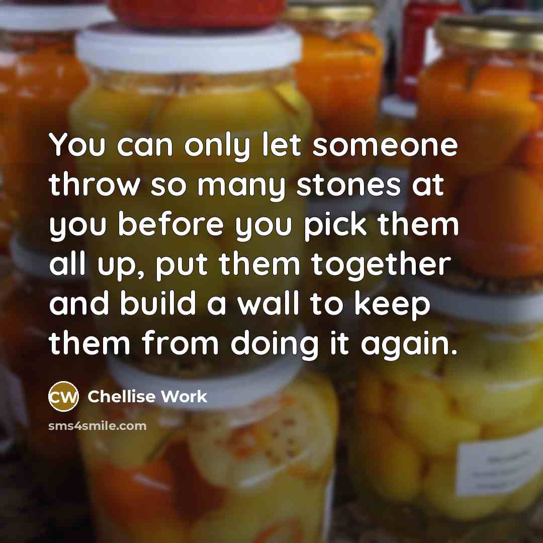 “You can only let someone throw so many stones at you before you pick them all up, put them together and build a wall to keep them from doing it again.” quote by Chellise Work