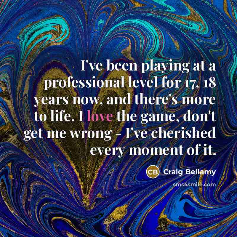 “I've been playing at a professional level for 17, 18…” quote by Craig Bellamy