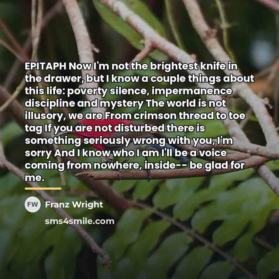 “EPITAPH Now I'm not the brightest knife in the drawer,…” quote by Franz Wright