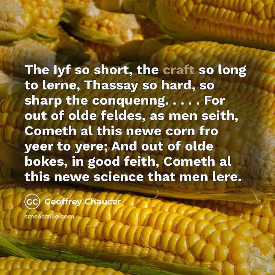 “The Iyf so short, the craft so long to lerne,…” quote by Geoffrey Chaucer
