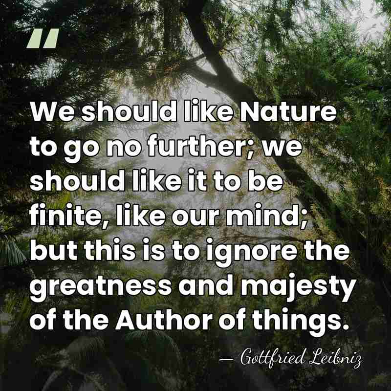 We should like Nature to go no further; we should like it&hellip; - Gottfried Leibniz
