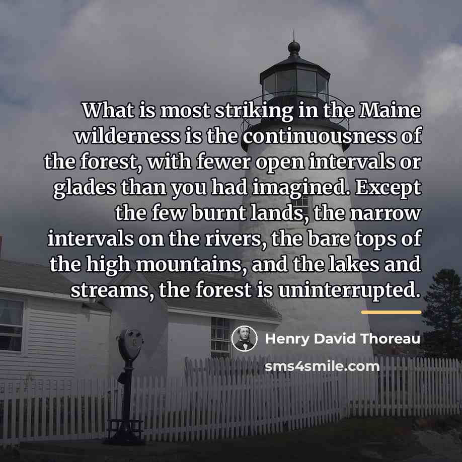 “What is most striking in the Maine wilderness is the…” quote by Henry David Thoreau