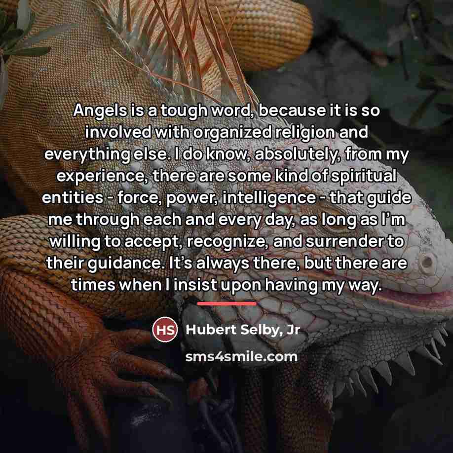 “Angels is a tough word, because it is so involved…” quote by Hubert Selby, Jr