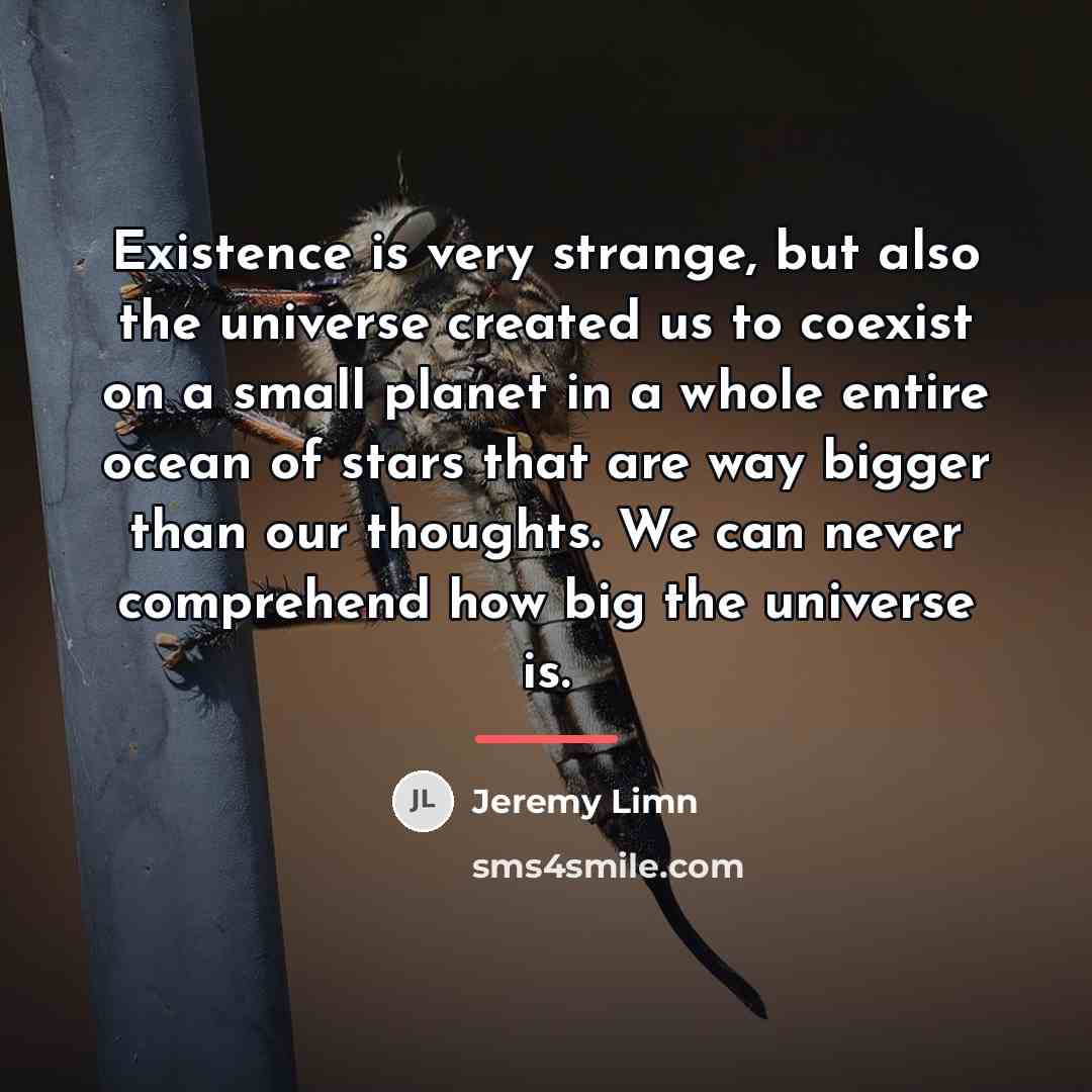 “Existence is very strange, but also the universe created us…” quote by Jeremy Limn