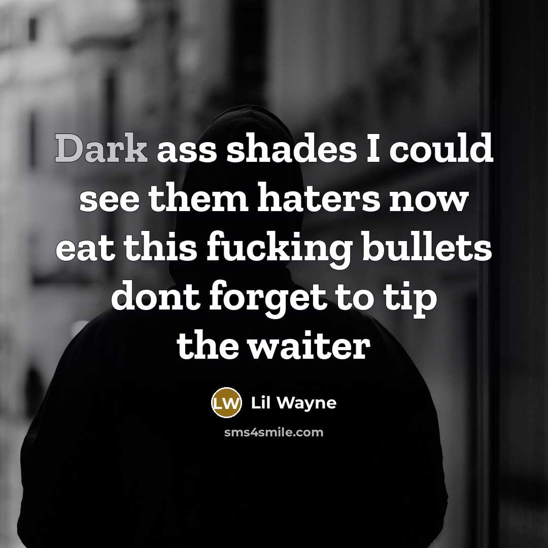 “Dark ass shades I could see them haters now eat…” quote by Lil Wayne