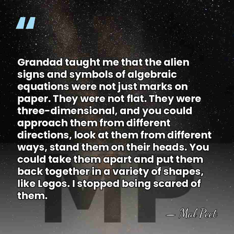 Grandad taught me that the alien signs and symbols of algebraic equations&hellip; - Mal Peet