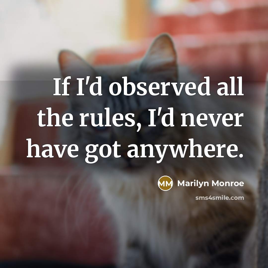 “If I'd observed all the rules, I'd never have got anywhere.” quote by Marilyn Monroe