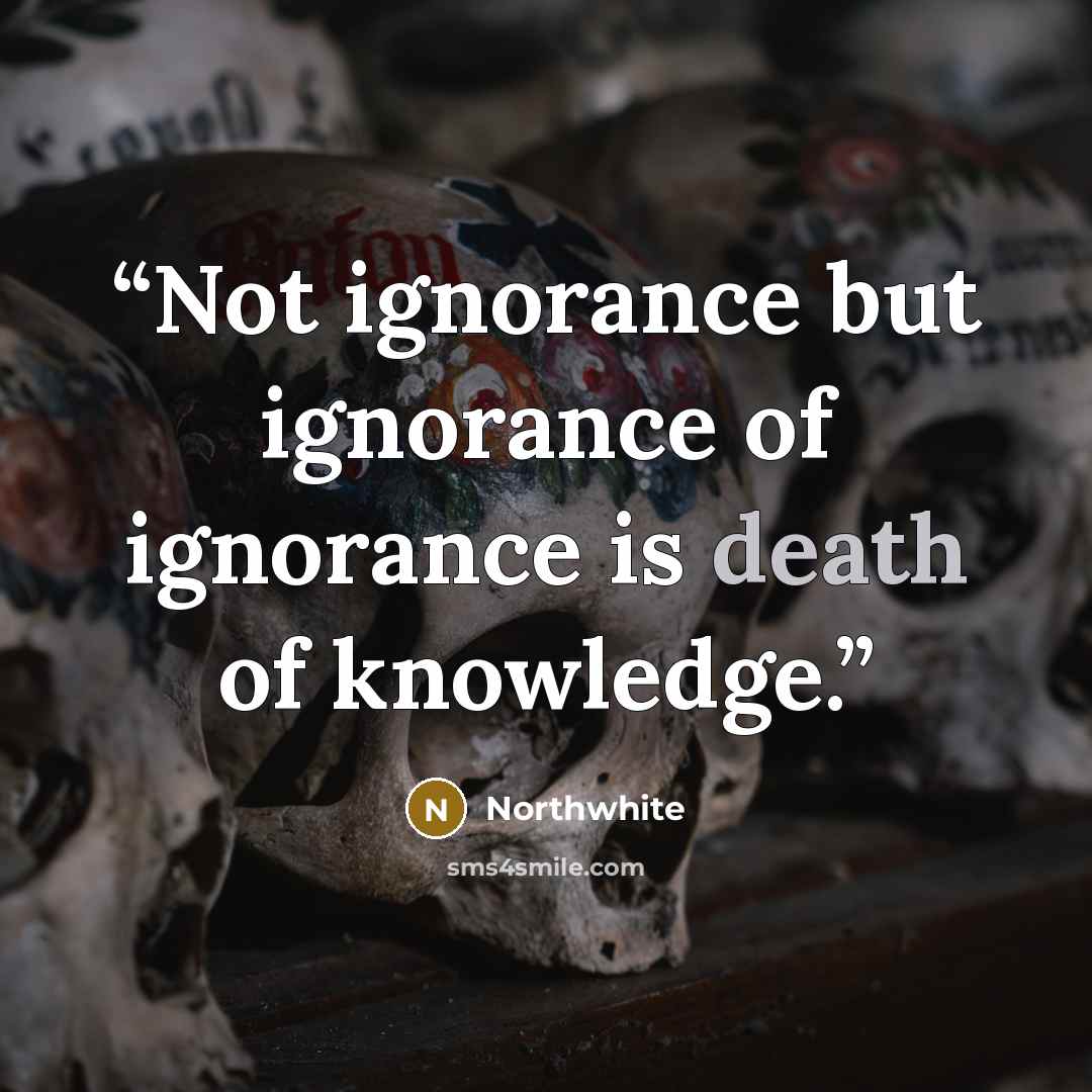 “Not ignorance but ignorance of ignorance is death of knowledge.” quote by Northwhite