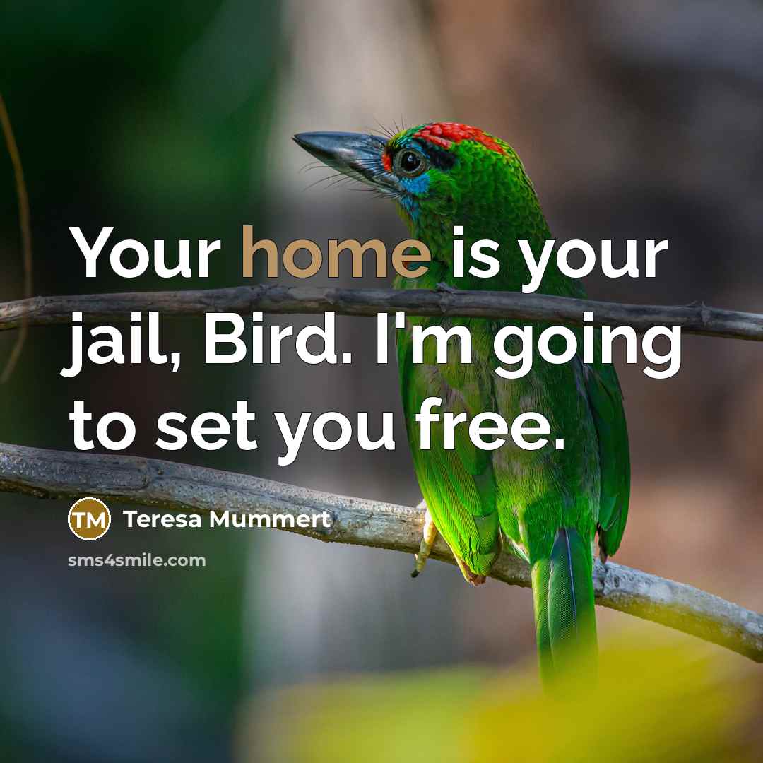 “Your home is your jail, Bird. I'm going to set…” quote by Teresa Mummert