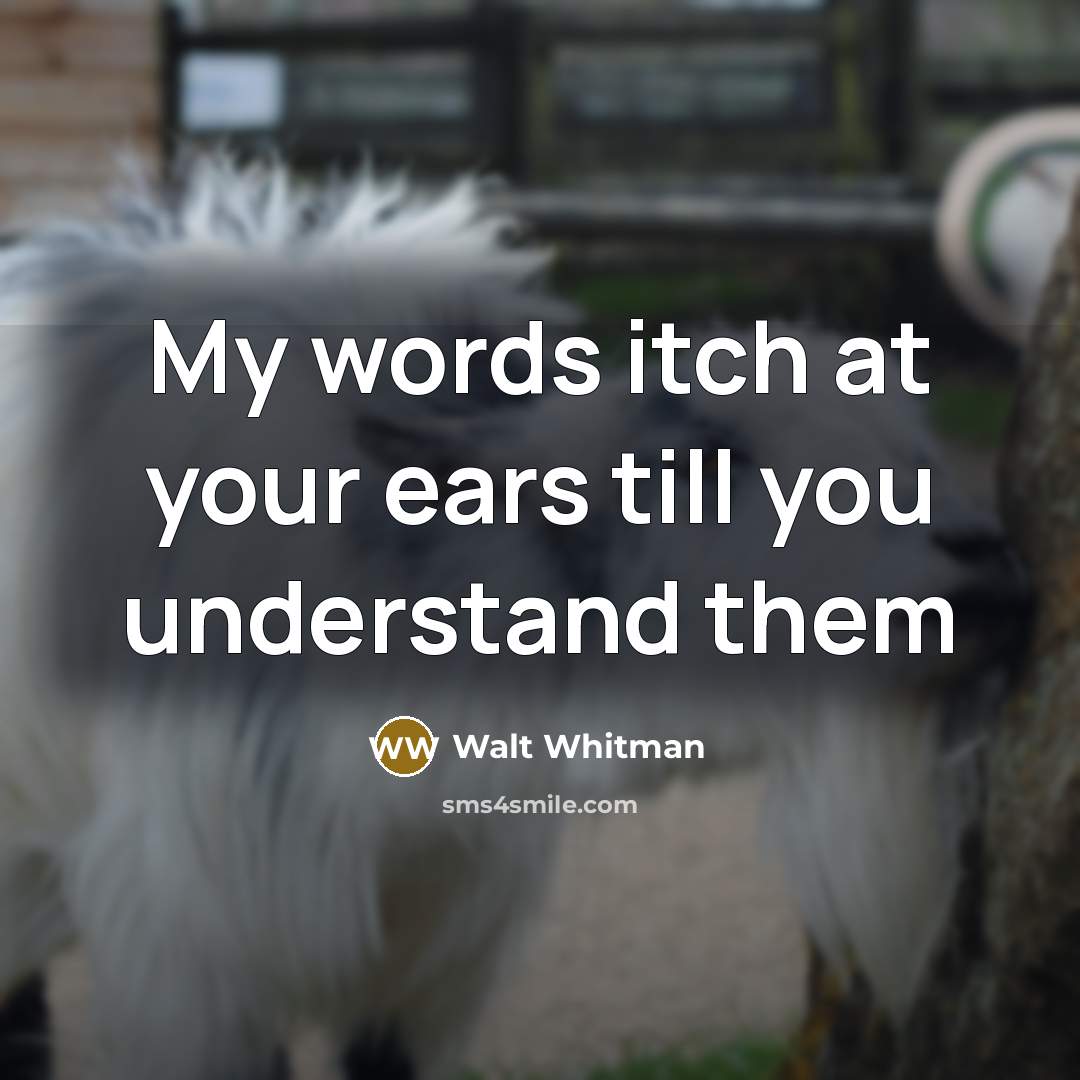 “My words itch at your ears till you understand them…” quote by Walt Whitman