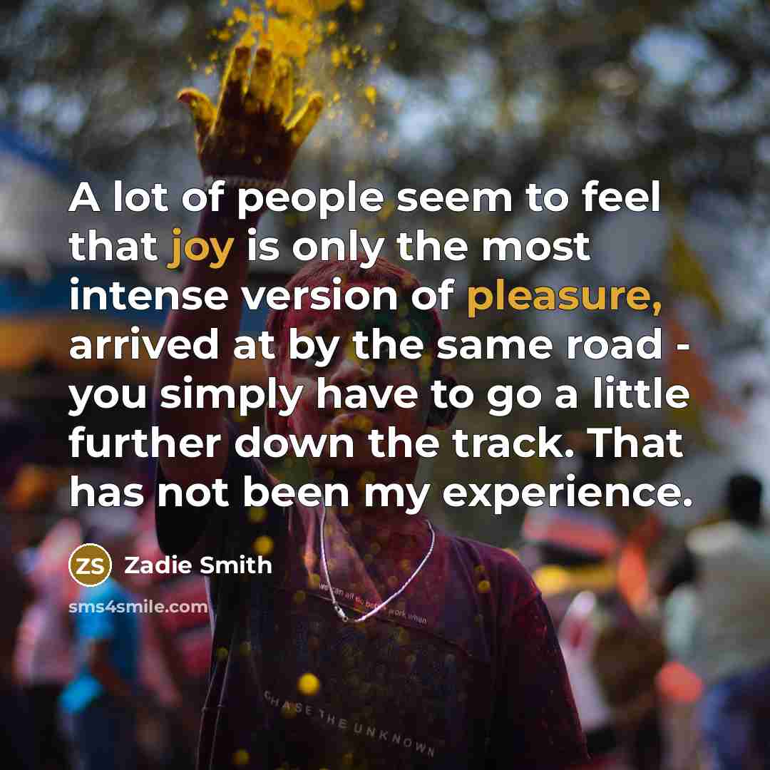“A lot of people seem to feel that joy is…” quote by Zadie Smith