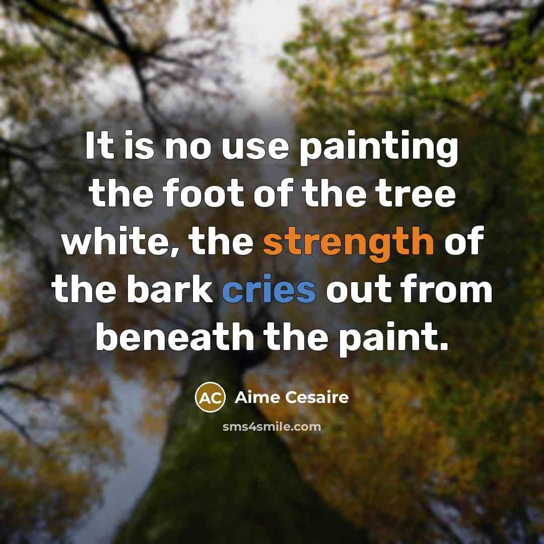 “It is no use painting the foot of the tree white, the strength of the bark cries out from beneath the paint.” quote by Aime Cesaire