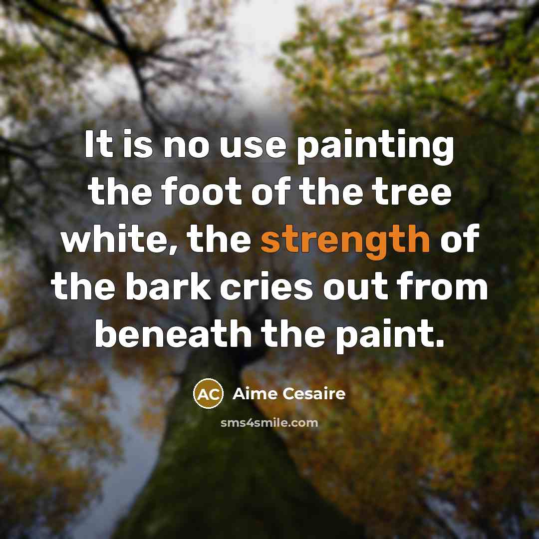 “It is no use painting the foot of the tree…” quote by Aime Cesaire