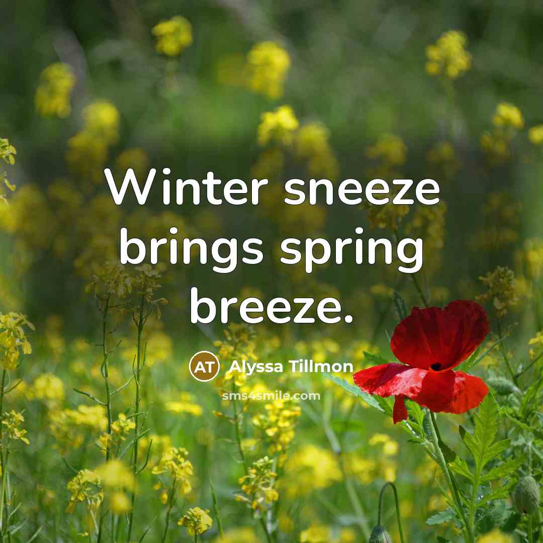 “Winter sneeze brings spring breeze.” quote by Alyssa Tillmon
