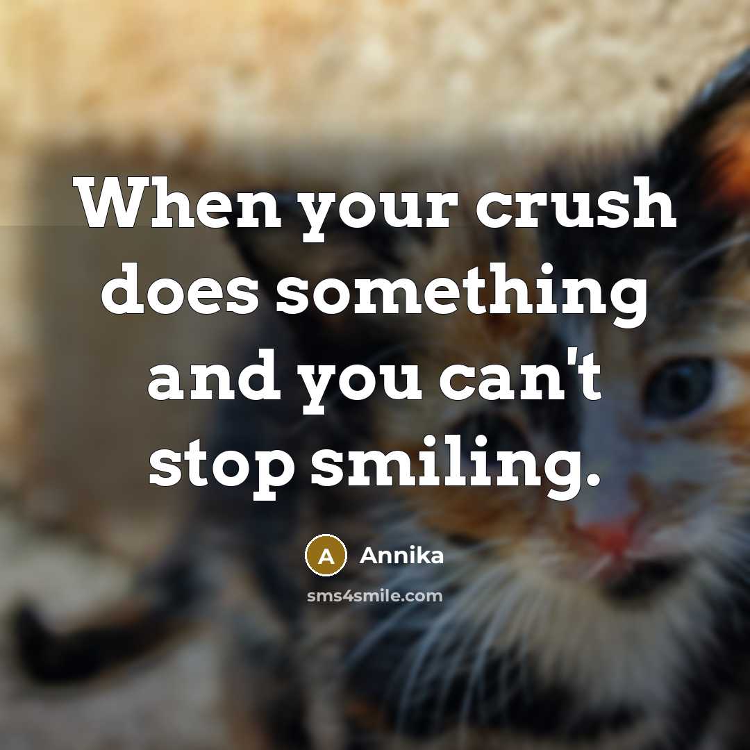 “When your crush does something and you can't stop smiling.” quote by Annika