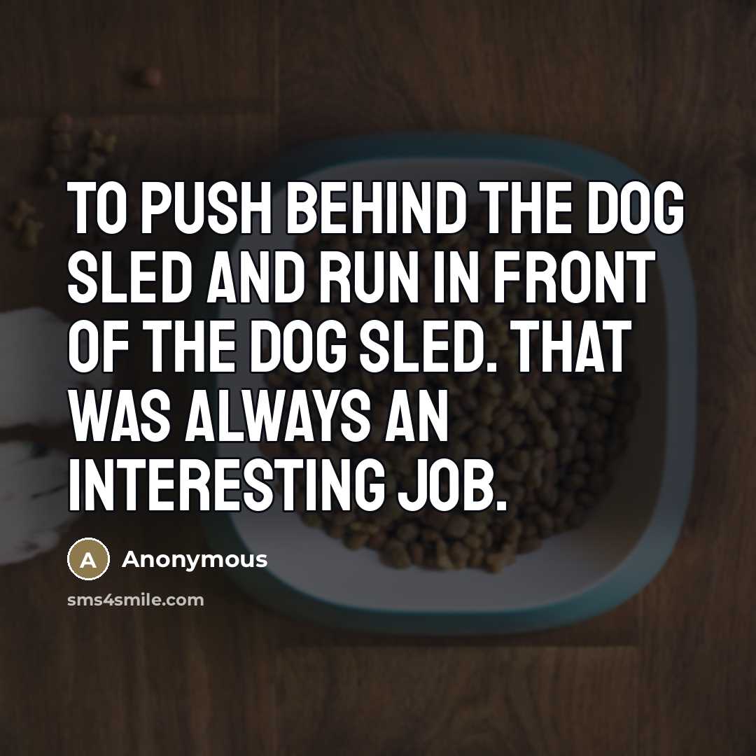 “To push behind the dog sled and run in front…” quote by Anonymous