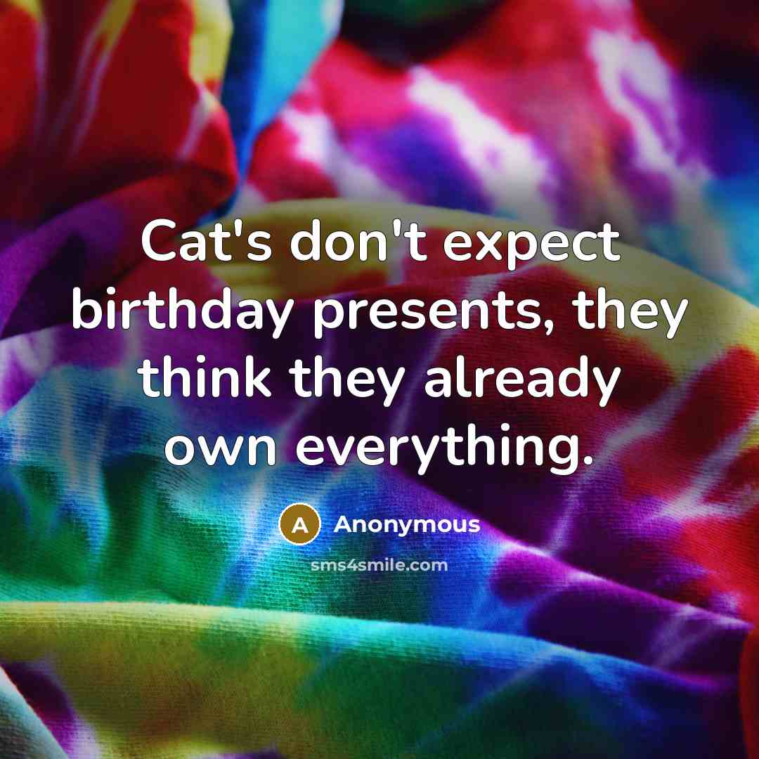 “Cat's don't expect birthday presents, they think they already own…” quote by Anonymous