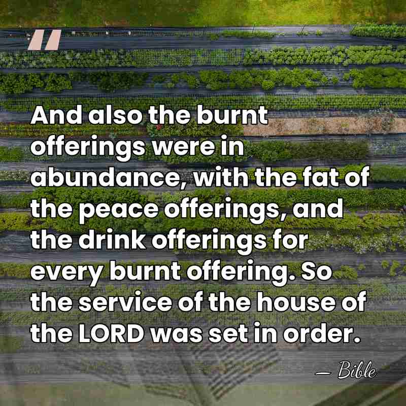 And also the burnt offerings were in abundance, with the fat of&hellip; - Bible