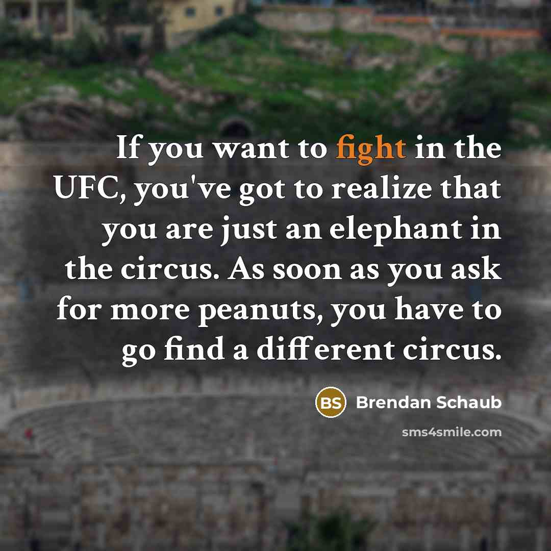 “If you want to fight in the UFC, you've got…” quote by Brendan Schaub