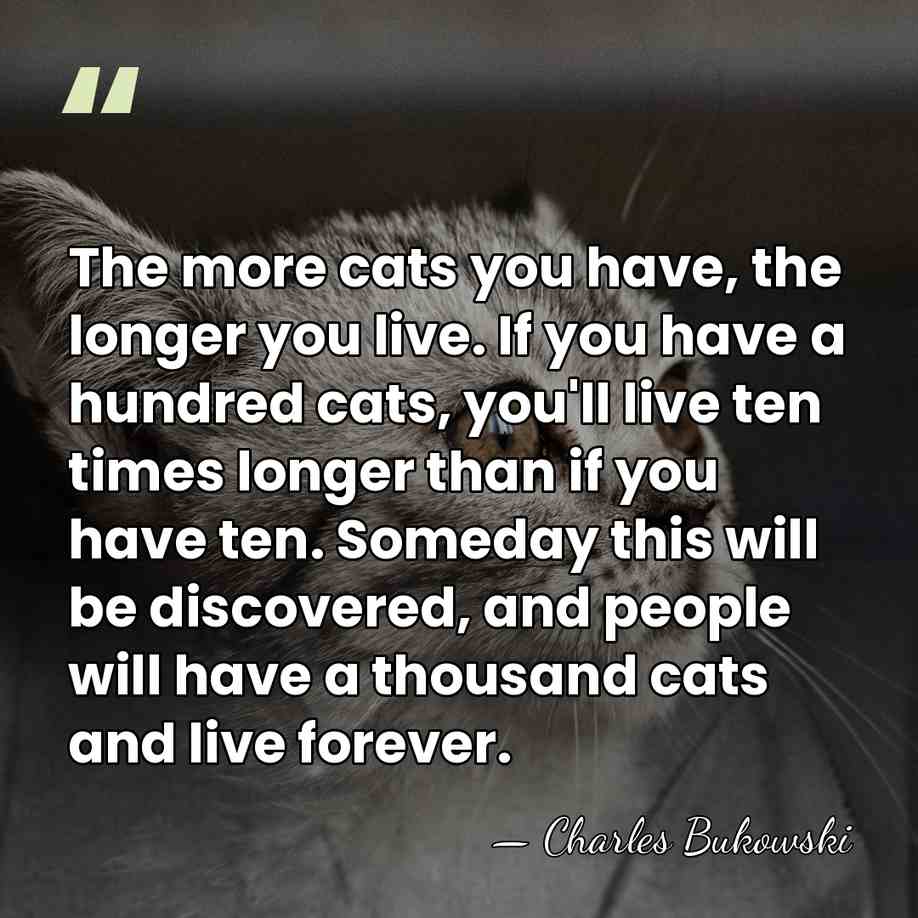 The more cats you have, the longer you live. If you have&hellip; - Charles Bukowski
