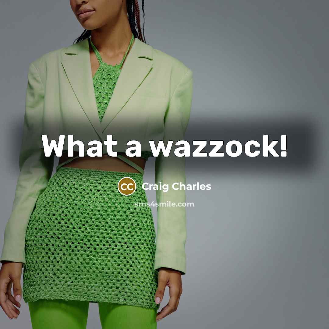 “What a wazzock!” quote by Craig Charles