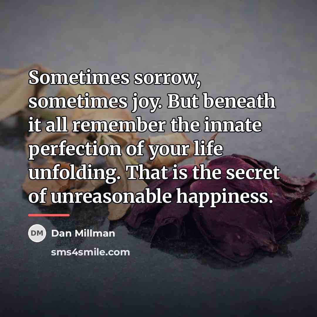 “Sometimes sorrow, sometimes joy. But beneath it all remember the…” quote by Dan Millman
