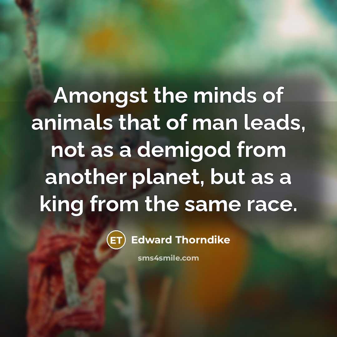 “Amongst the minds of animals that of man leads, not…” quote by Edward Thorndike