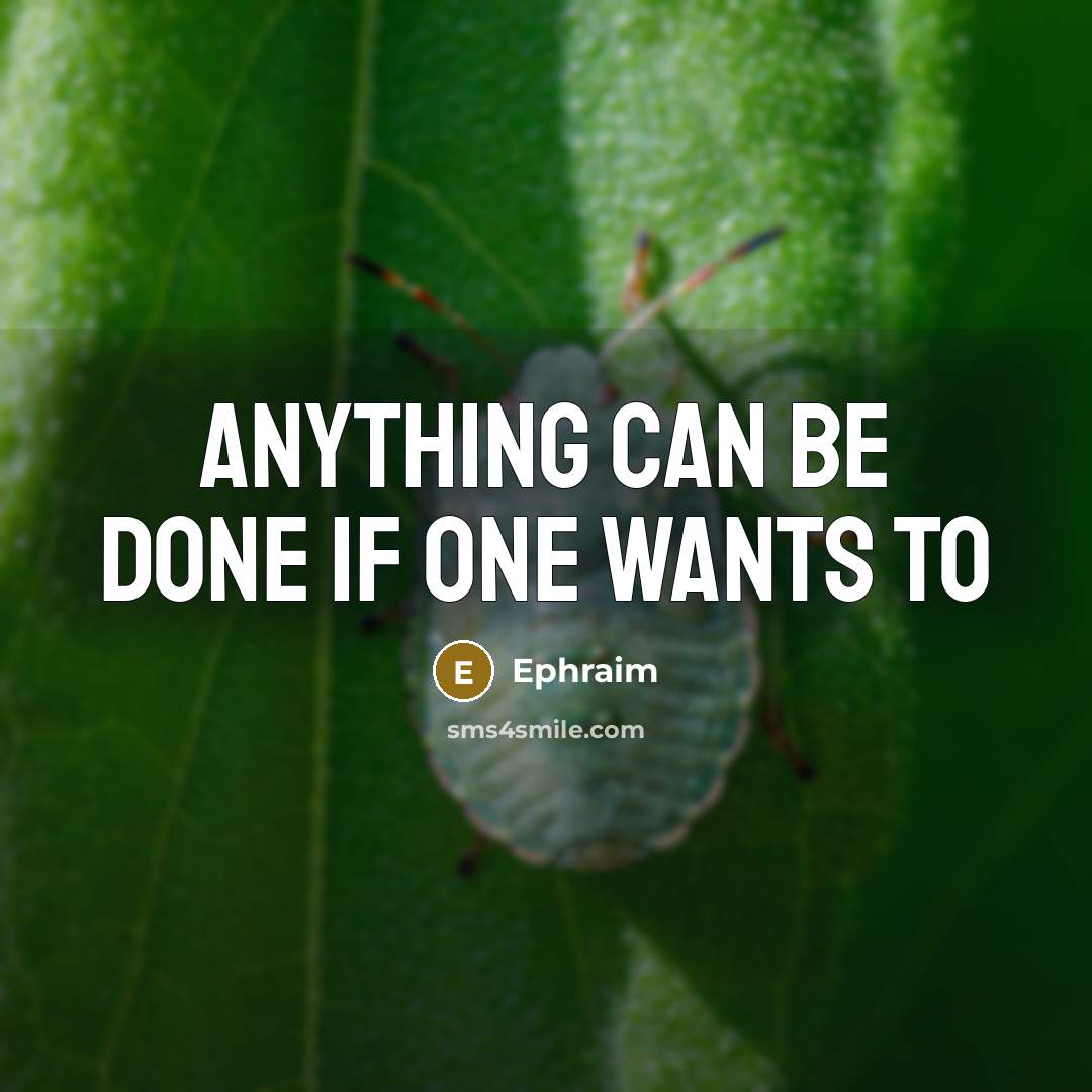 “Anything can be done if one wants to” quote by Ephraim
