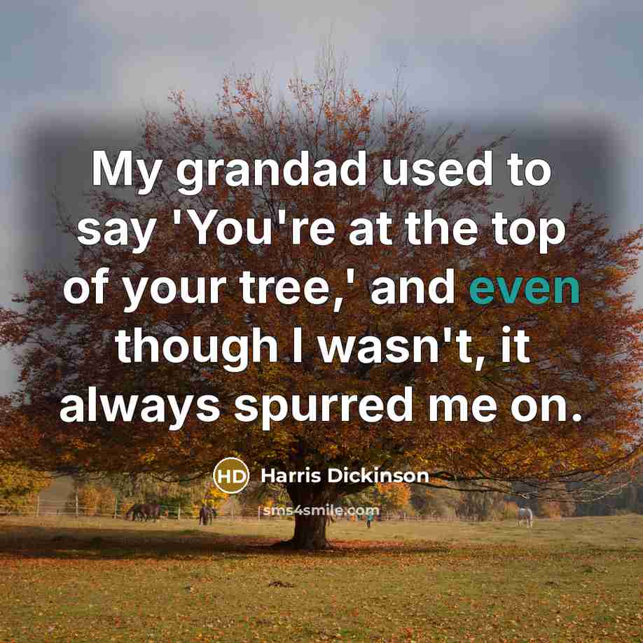 “My grandad used to say 'You're at the top of…” quote by Harris Dickinson
