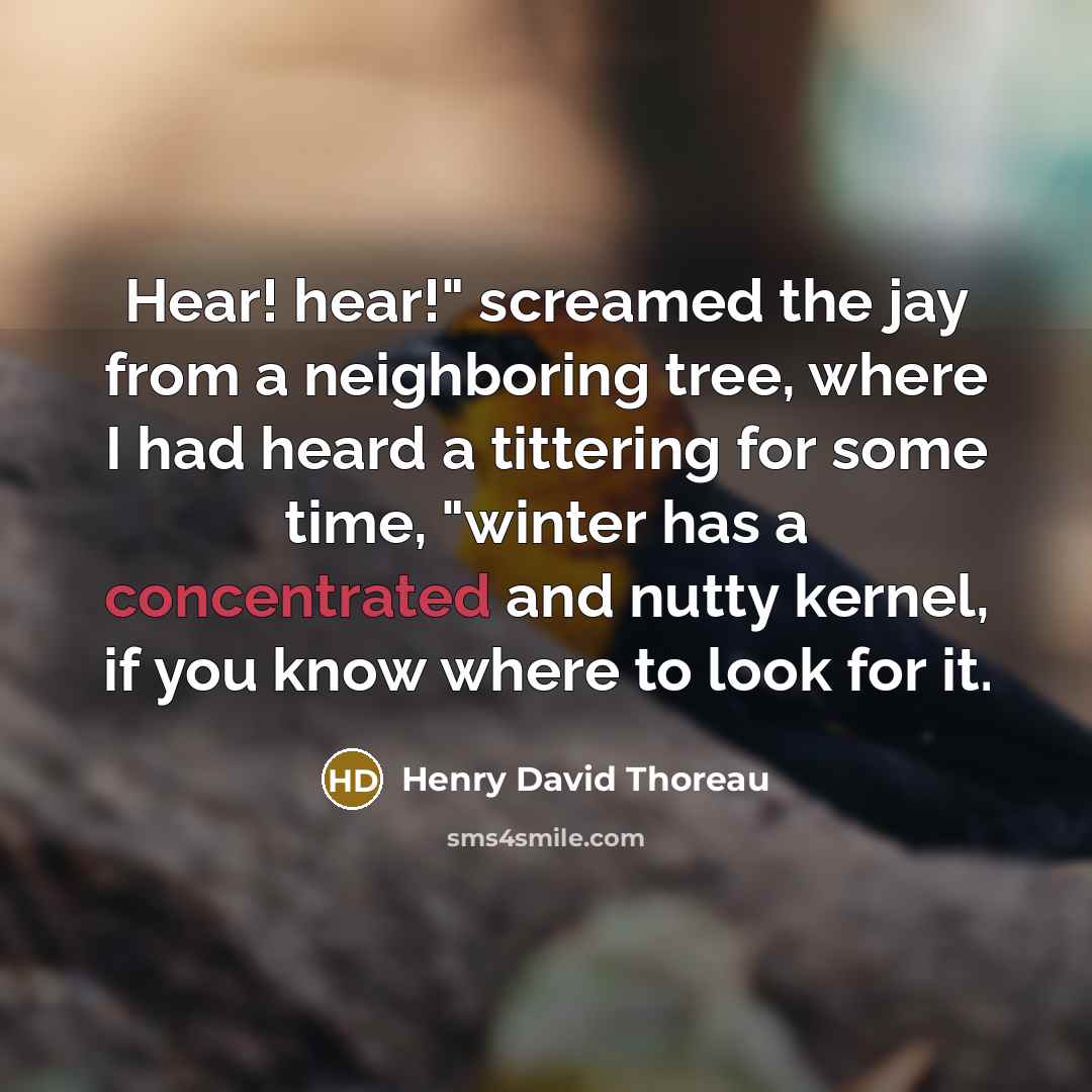 “Hear! hear!" screamed the jay from a neighboring tree, where I had heard a tittering for some time, "winter has a concentrated and nutty kernel, if you know where to look for it.” quote by Henry David Thoreau
