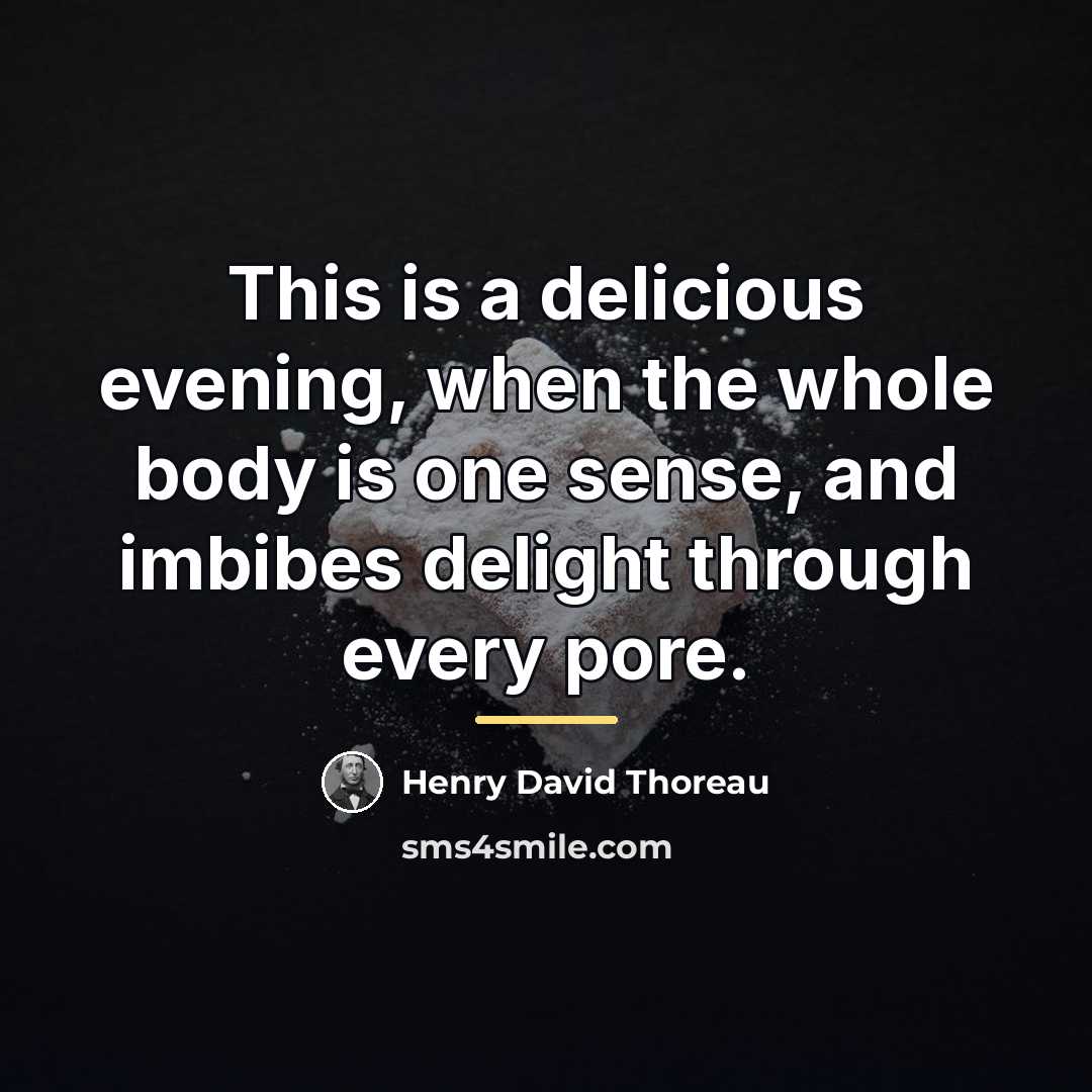 “This is a delicious evening, when the whole body is…” quote by Henry David Thoreau
