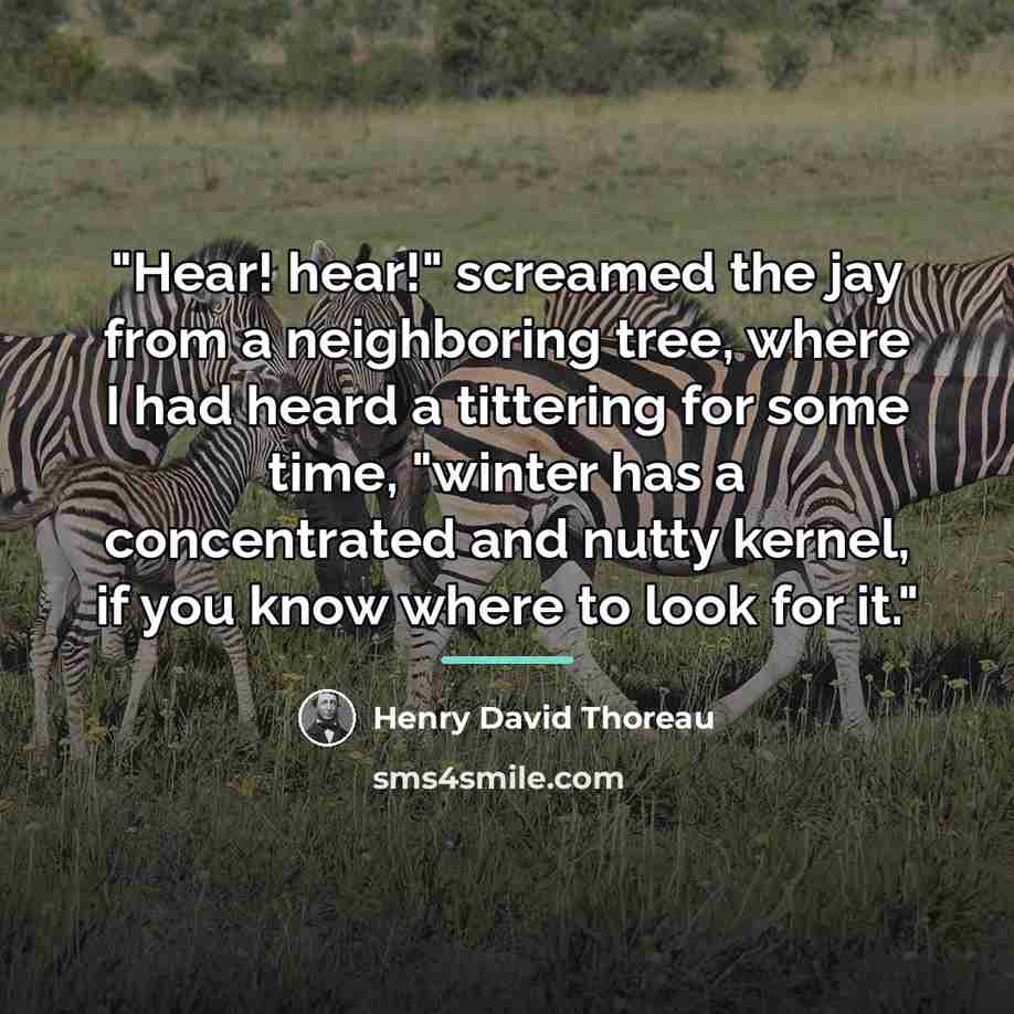 “"Hear! hear!" screamed the jay from a neighboring tree, where…” quote by Henry David Thoreau