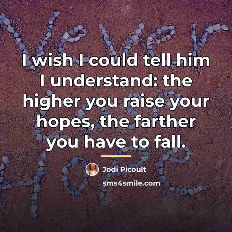“I wish I could tell him I understand: the higher…” quote by Jodi Picoult