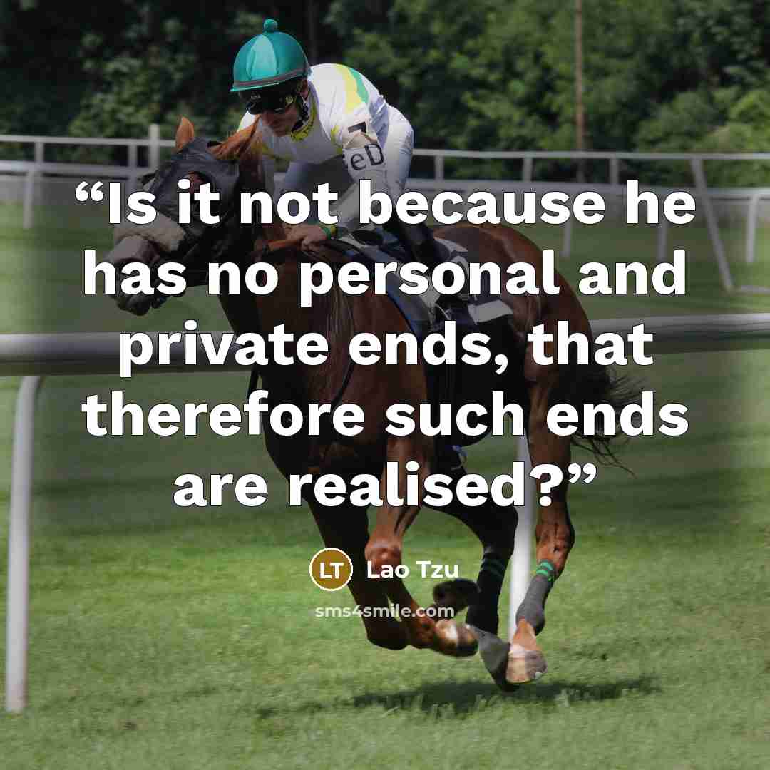 “Is it not because he has no personal and private ends, that therefore such ends are realised?” quote by Lao Tzu