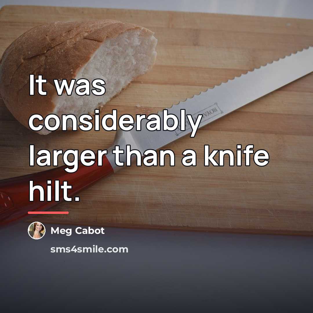 “It was considerably larger than a knife hilt.…” quote by Meg Cabot
