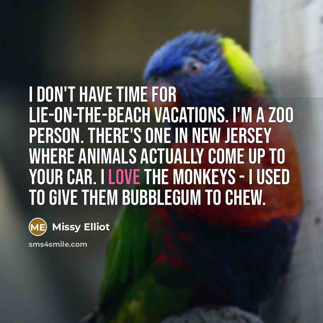 “I don't have time for lie-on-the-beach vacations. I'm a zoo…” quote by Missy Elliot