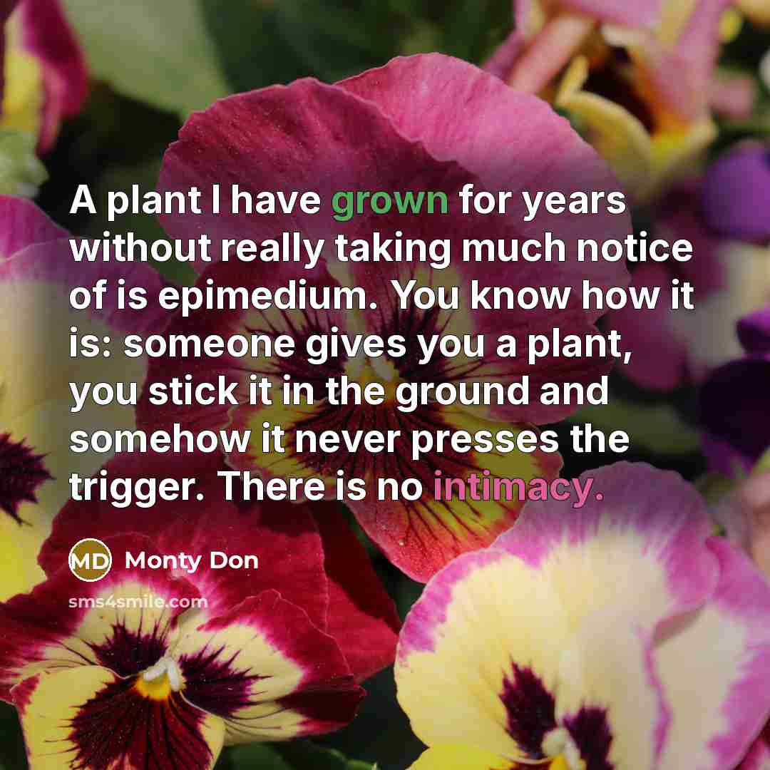 “A plant I have grown for years without really taking much notice of is epimedium. You know how it is: someone gives you a plant, you stick it in the ground and somehow it never presses the trigger. There is no intimacy.” quote by Monty Don