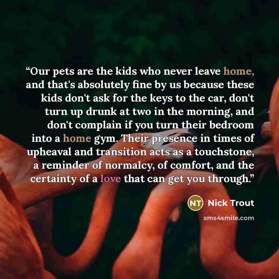“Our pets are the kids who never leave home, and that's absolutely fine by us because these kids don't ask for the keys to the car, don't turn up drunk at two in the morning, and don't complain if you turn their bedroom into a home gym. Their presence in times of upheaval and transition acts as a…” quote by Nick Trout