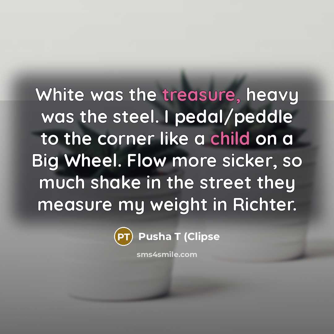 “White was the treasure, heavy was the steel. I pedal/peddle to the corner like a child on a Big Wheel. Flow more sicker, so much shake in the street they measure my weight in Richter.” quote by Pusha T (Clipse