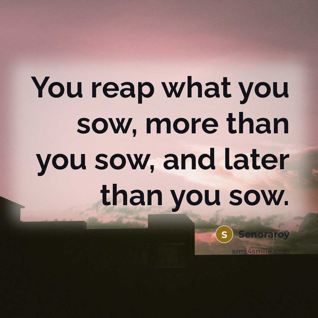 “You reap what you sow, more than you sow, and…” quote by Senoraroy