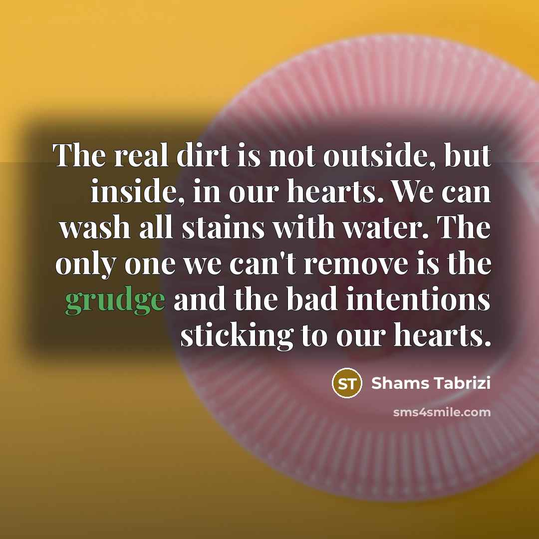 “The real dirt is not outside, but inside, in our…” quote by Shams Tabrizi